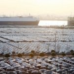 ASFAC diz que crédito especializado aumentou 35% em fevereiro para os 573 milhões de euros